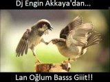 Oğlum Basss Git (Remix by Dj Engin Akkaya)