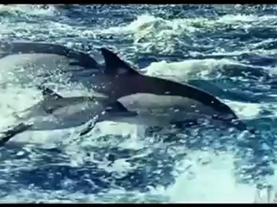 Exploring "Oceans" Featurette