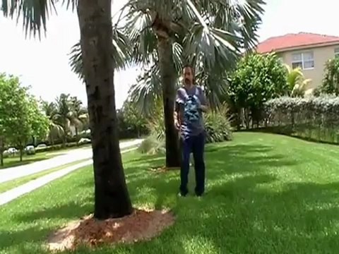 ME TIENES LOCO PAUL FRANCOIS - COPYRIGHT 2011 BY PAUL FRANCOIS - YouTube