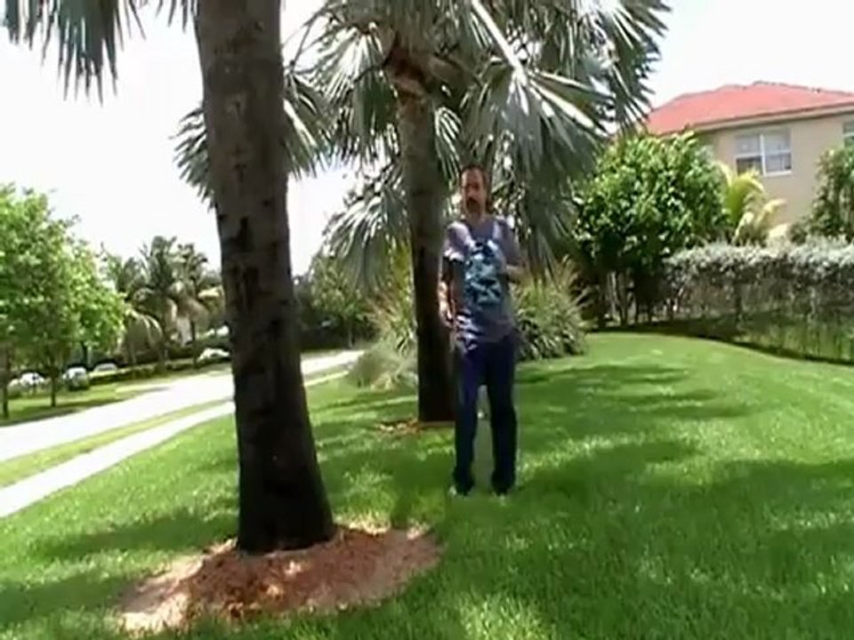 ME TIENES LOCO PAUL FRANCOIS - COPYRIGHT 2011 BY PAUL FRANCOIS - YouTube