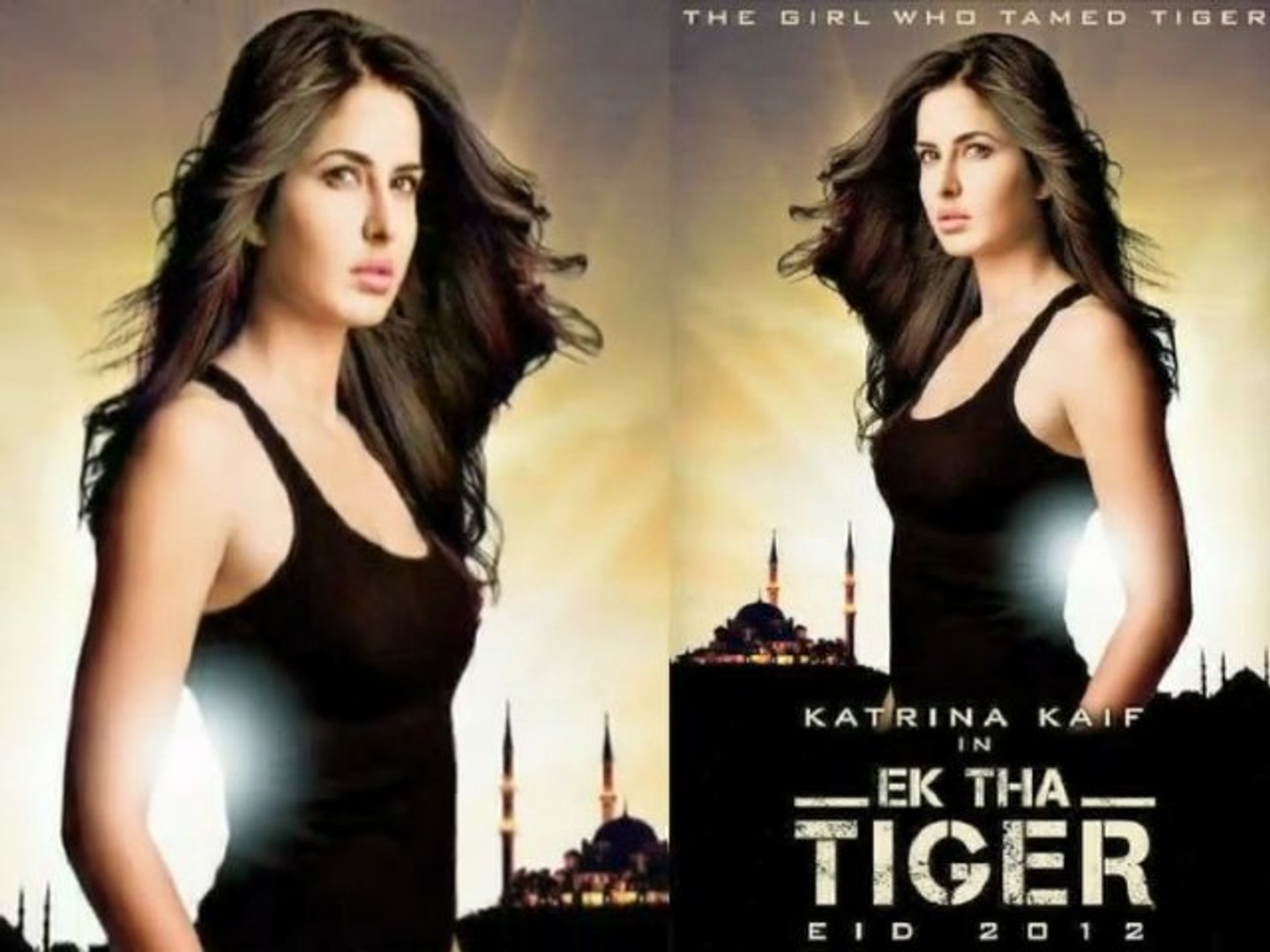 Katrina Kaif's First Look Poster From 'Ek Tha Tiger' Revealed - video  Dailymotion