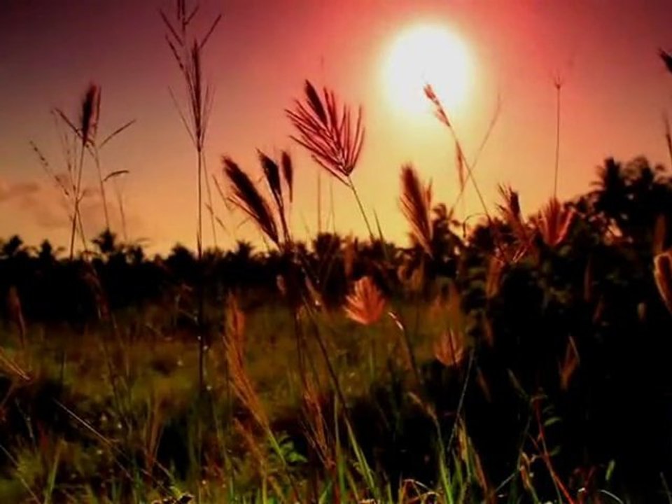 Celui qui appelle aux manifestations nest pas salafi ! Sheikh Salih As Souhaymi