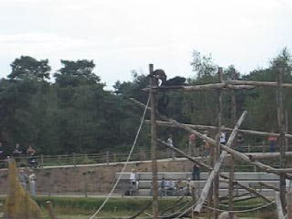 beekse bergen
