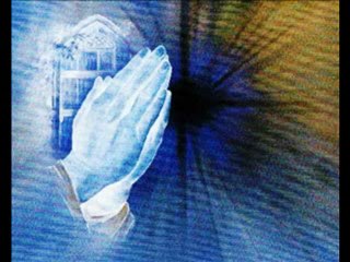 Seeds planted in the MIND