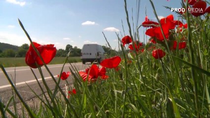 SenDRA au Service des Mairies