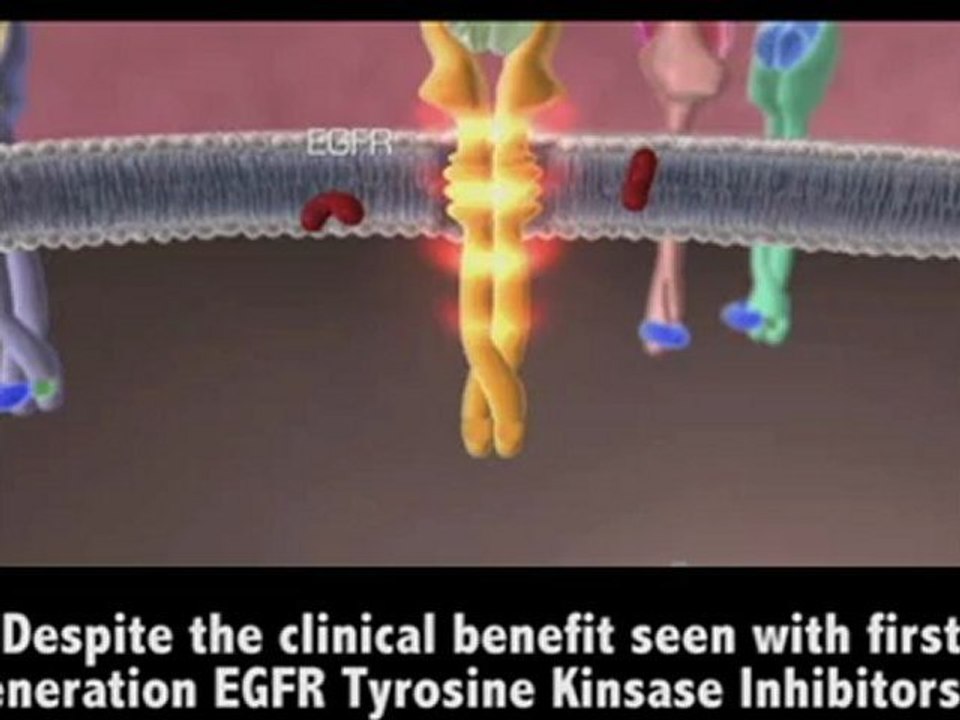 Boehringer Ingelheim investigational lung cancer treatment