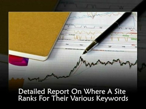 SiteCheckReport.com - Recommendations To Improve Your Keyword Rankings