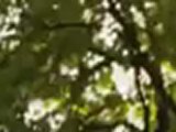Miracle Of Science #I - Spot TV Miracle Of Science #I (Anglais)