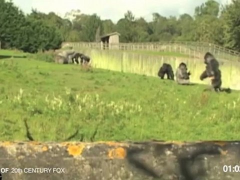 Rise of the Planet of the Apes - Viral Standing Upright