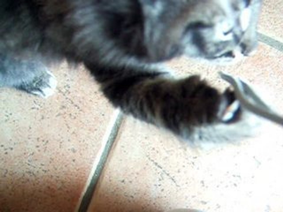 21-24 septembre 2006