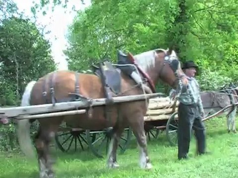 Fête du bois à Méry-es-bois