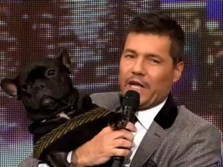 NOTICIAYA.COM - peter y paula en bailando