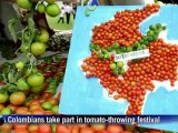 Colombia holds tomato fight for 'Tomatina' festival