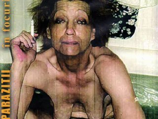 Parazitii - In Focuri (Dub Free Romania Smoke)(Remix)