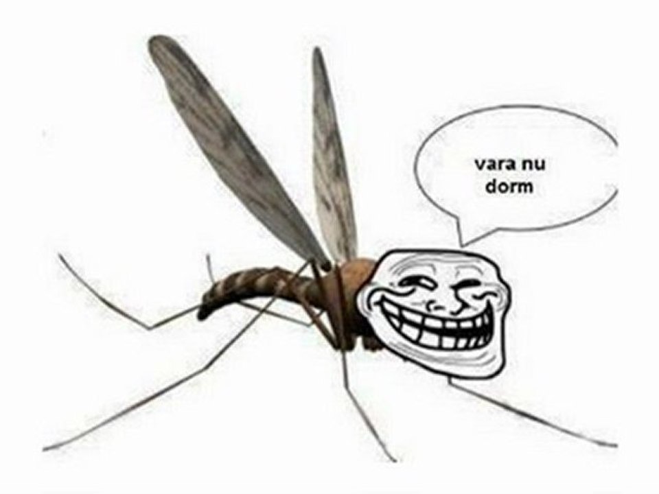 Connect-R - Vara nu Dorm