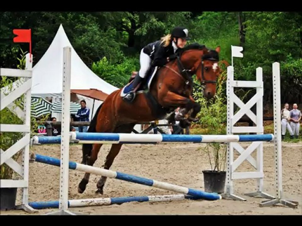 Championnat départemental à st Eynard avec ma Patxa ♥