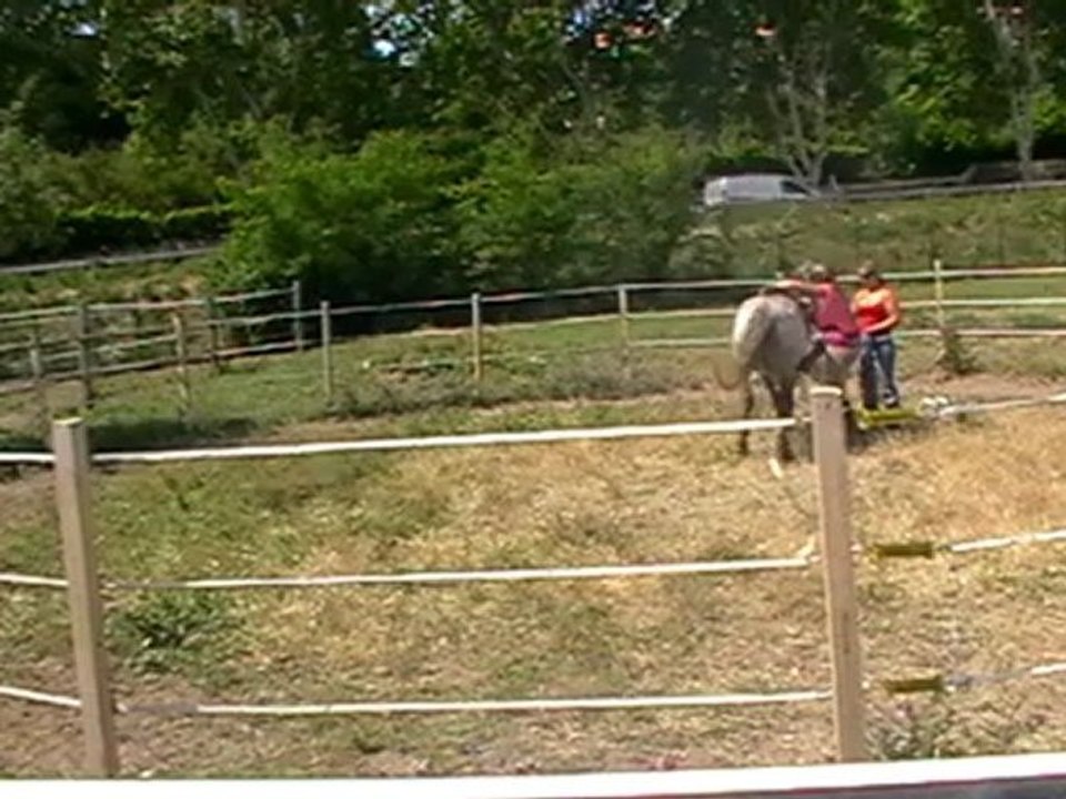 debourrage montoir et premiers pas 11062012