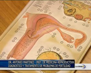 Problemas de fertilidad