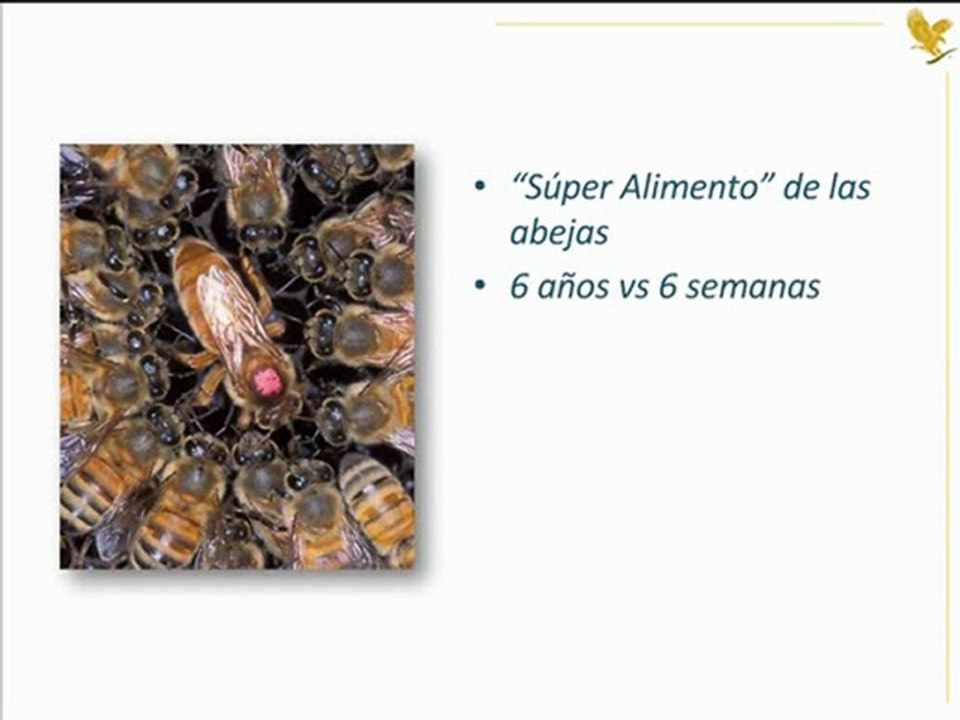Forever royal jelly