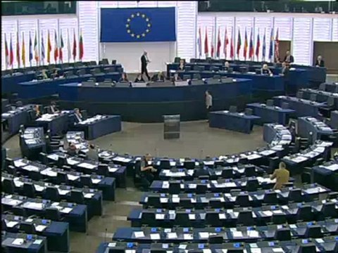 Niccolò Rinaldi on EU trade negotiations with Japan