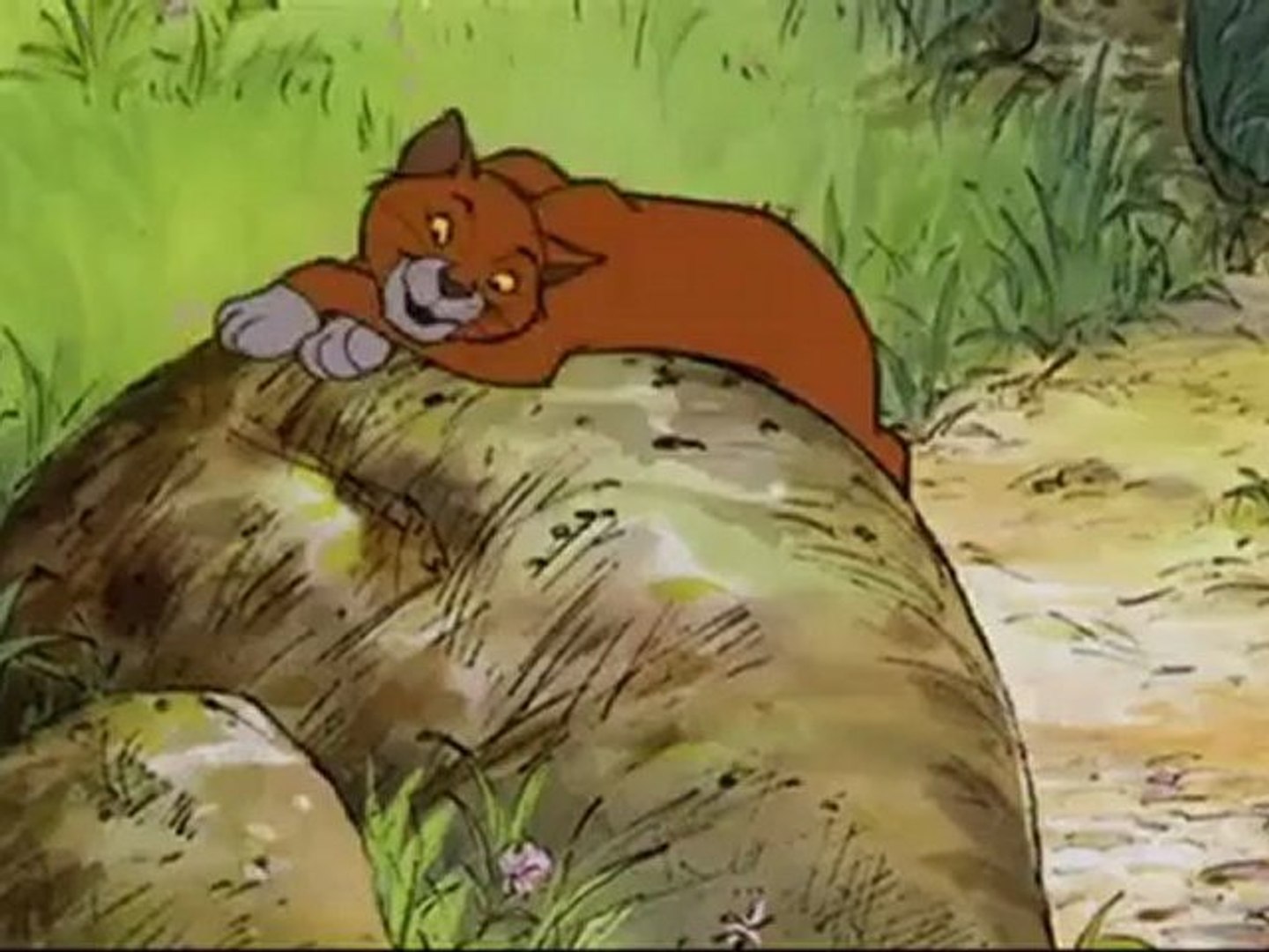 Old Lady Feeding Cat Roughen Draw : image vectorielle de stock (libre de  droits) 56591047 | Shutterstock, image size:1440x1080