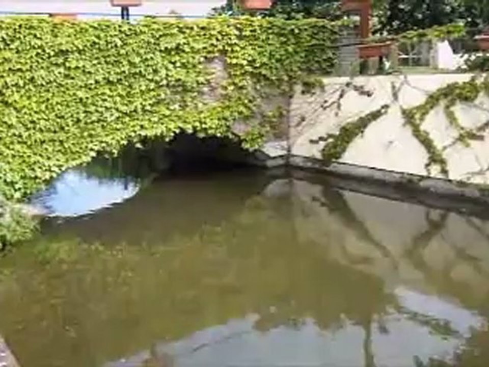 (80) RUE Visite de la ville et du beffroi Circuit du CC18C Mai 2012