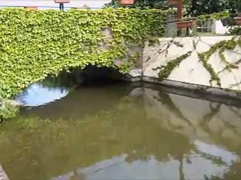 (80) RUE Visite de la ville et du beffroi Circuit du CC18C Mai 2012