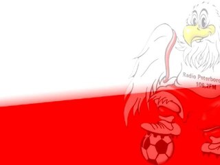 Francja Anglia Euro 2012