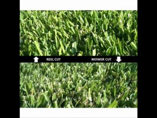 The Worlds Most Advanced Reel Mower