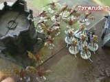 Apocalypse Battle Report - Salamanders vs Tyranids Part 4
