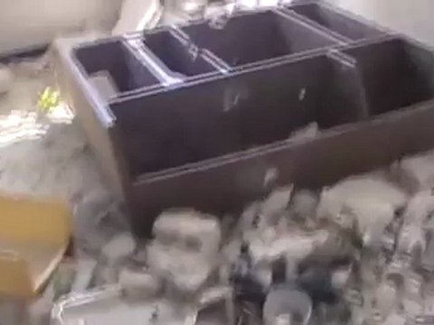 Syria فري برس حلب حيان بعض اثار القصف المدفعي ع البلدة 11 6 2012 ج4 Aleppo