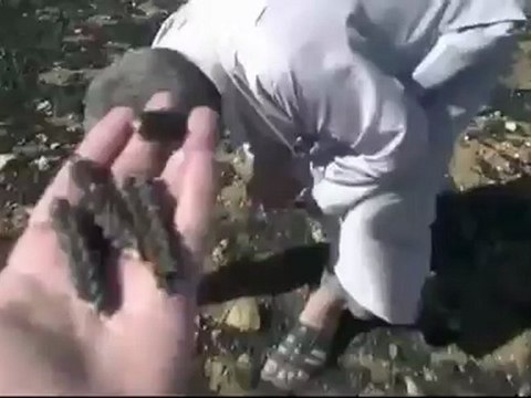 Syria فري برس ادلب لقاء مع الفلاح أبو عبدو لحظة حرق حقله ج1 Idlib