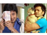 Ritesh Deshmukh Turns Dog Sperm Donor In His Next Film - Bollywood Gossip