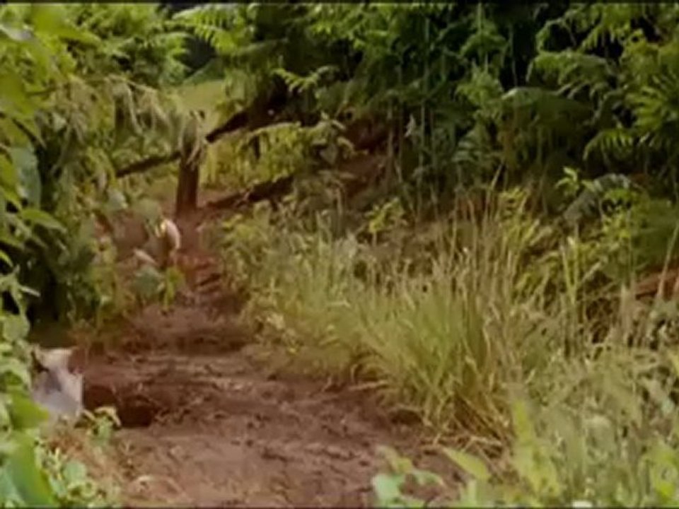 'Nanny McPhee Returns' Theatrical Trailer