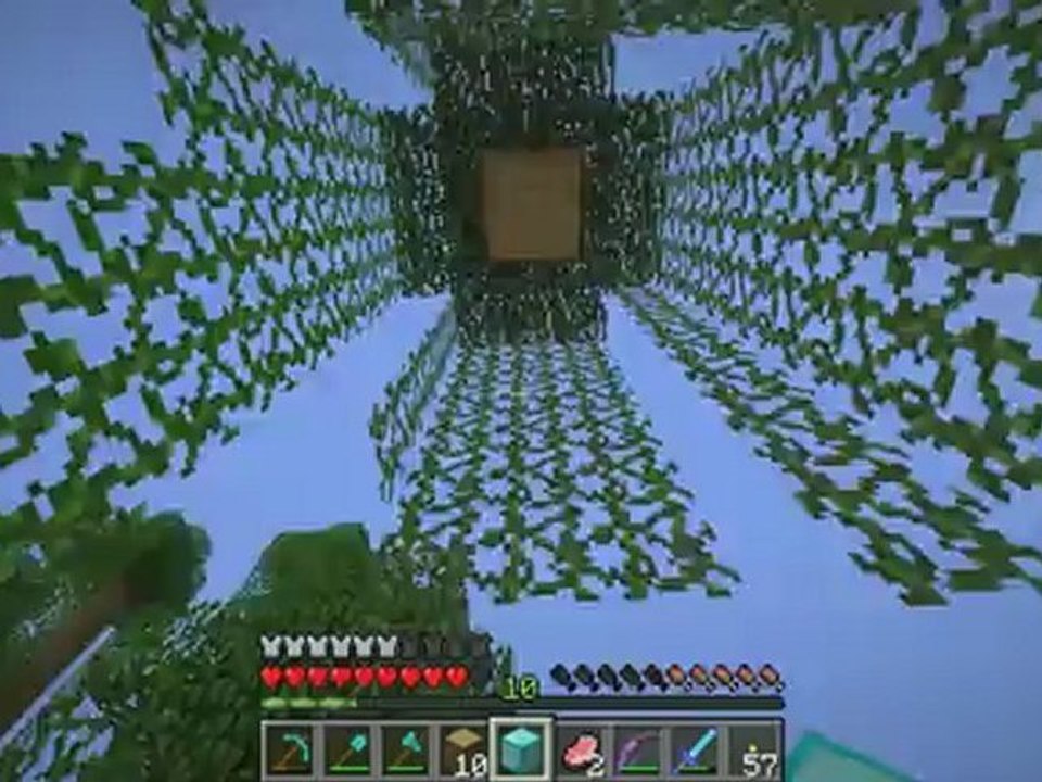 [Mine'N'Craft Survivor] Fin) Une Fin baclée