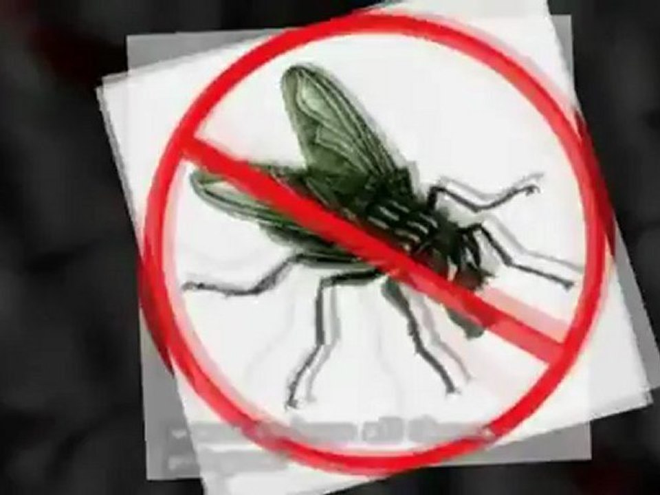 Melbourne Pest Control