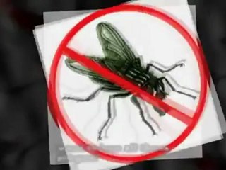 Melbourne Pest Control