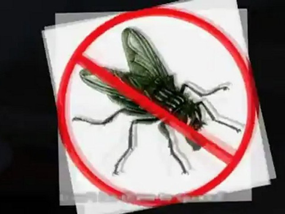 Pest Control - Melbourne, Australia
