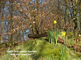 Rabbin seni seviyor mu, Seyyid Taha-i Hakkari hazretleri