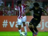 Il Botafogo affonda col Nautico - Brasileirao