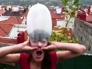 Burp 2010. Bosgarren kapitulua