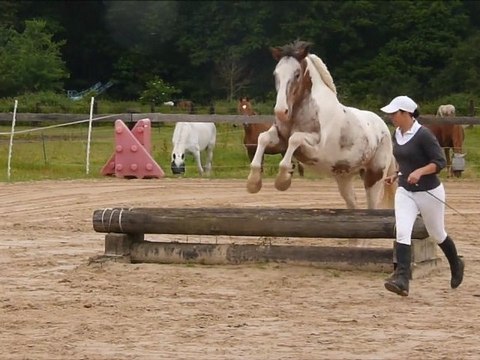 Concours Equifeel 10.06.12 Marcousis