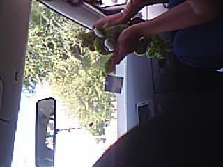 crazy frog spanish version