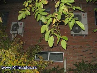 Bảo dưỡng bơm ga điều hòa tại nhà 0973056345