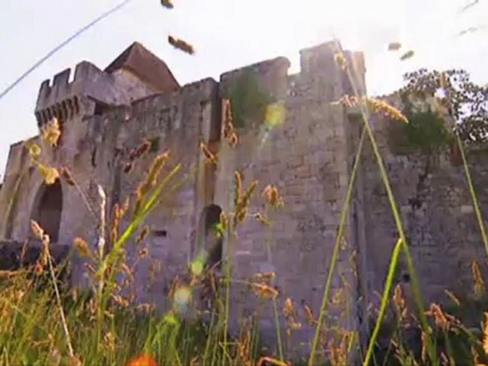 CHATEAU