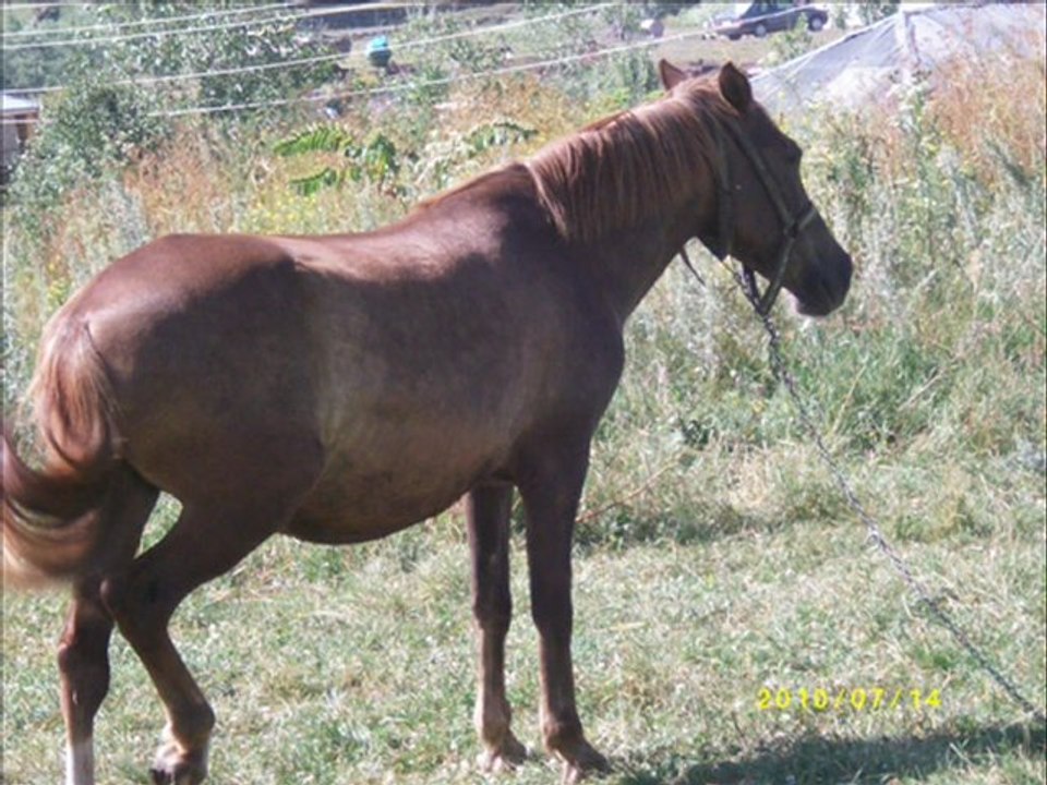 kars karaçoban köyü Ercan Güçtemur