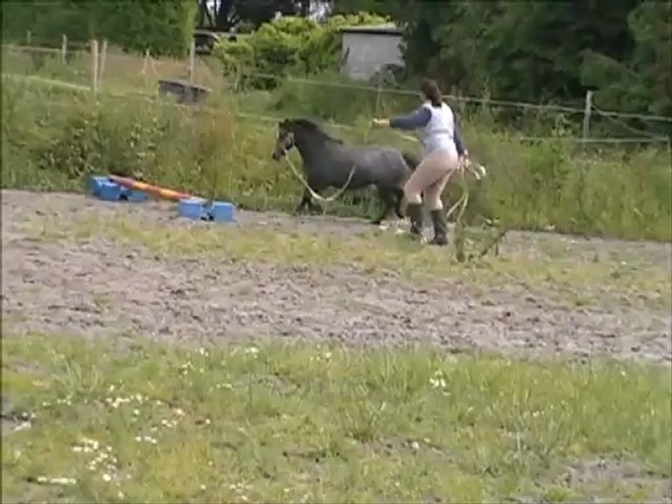 Adonff Tartifume femelle OC 2 ans 1m05