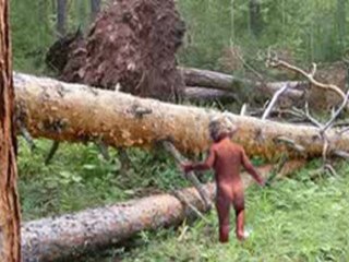 А Кулагин - Звенящие Кедры - глазами очевидца. Часть 2. Замена Родины на Огородину