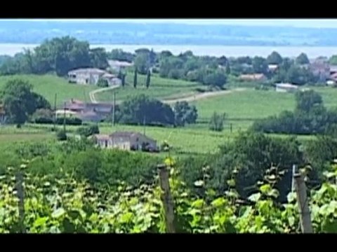 Blaye Côtes de Bordeaux, un vignoble remarquable!