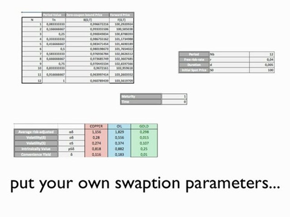 Heath Jarrow Morton (HJM) : Calcul de la valeur d'une option sur un swap de matière première - PPE 2012